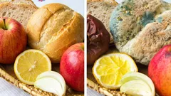 Liste von Lebensmitteln, die man nicht warm liegen lassen sollte