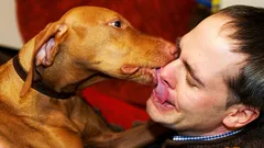 Warum Ihr Hund Ihnen das Gesicht ableckt – und was er Ihnen damit wirklich sagen will