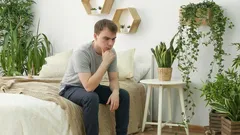 Kann man mit Pflanzen im Zimmer schlafen? Die Antwort wird viele überraschen