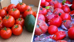 Warum Gemüse im Kühlschrank doppelt so schnell verdirbt, wie es sollte