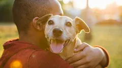 Sind Sie sicher, dass Ihr Hund glücklich ist? Prüfen Sie diese 5 Anzeichen