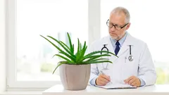 Wie du eine Aloe retten kannst, die schon verloren scheint