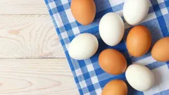 Kann man jeden Tag Eier essen – und was passiert im Körper?